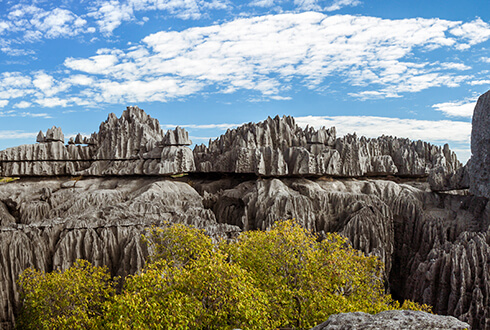 gorgeous geological formation in the Bemaraha National Park Madagascar