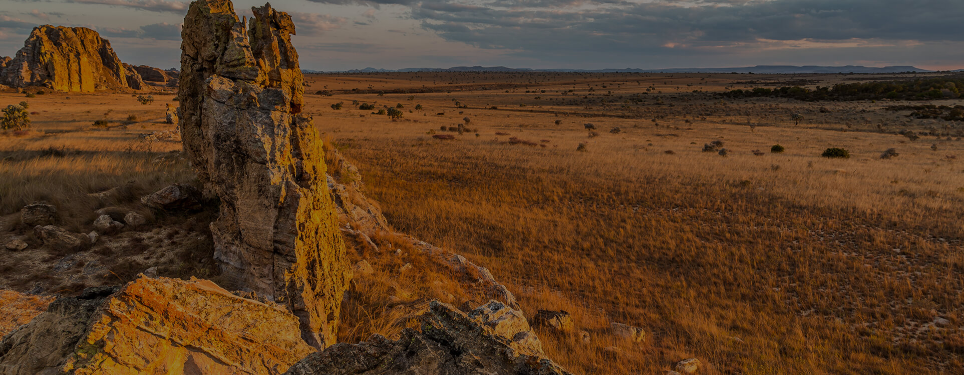 connect with the nature in the wild and beautiful Isalo National Park